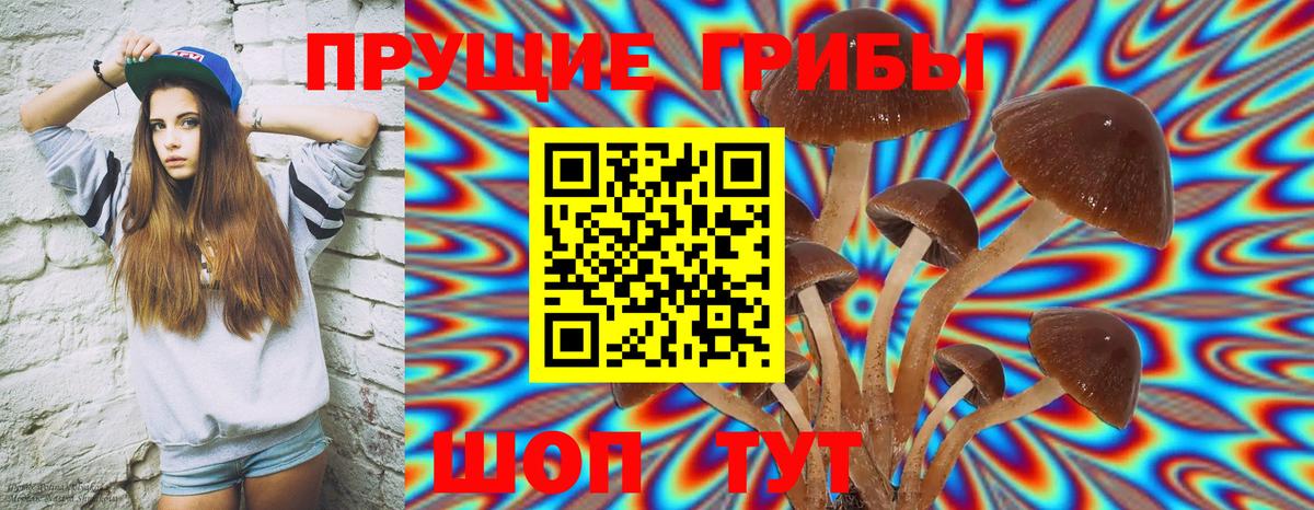 Ликино-Дулёво  Галлюциногенные грибы Cubensis  Псилоцибиновые грибы GOLDEN TEACHER  Вход с VPN 