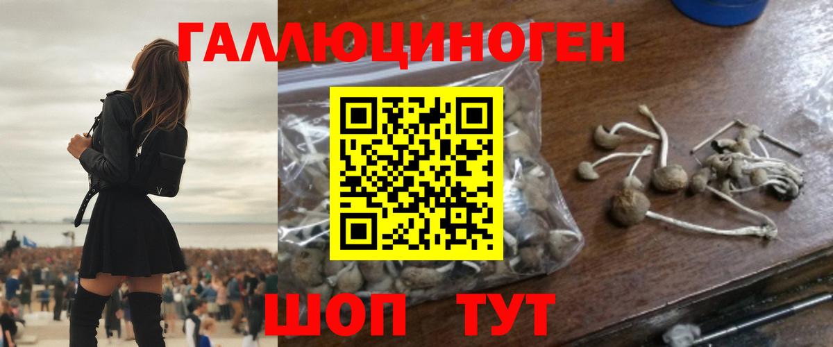 Галлюциногенные грибы прущие грибы Ликино-Дулёво